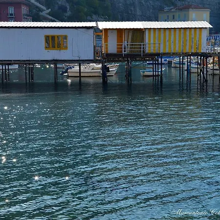 Coltur Σορέντο