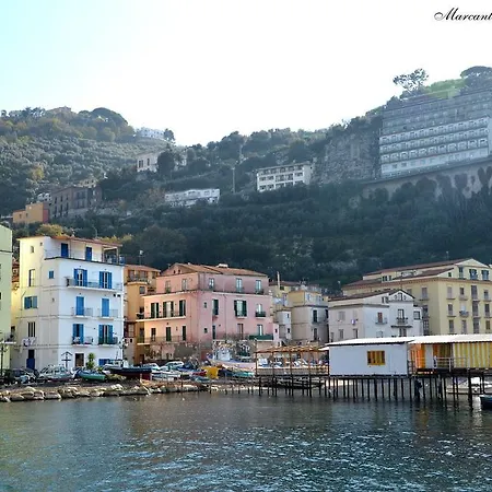 Coltur Σορέντο