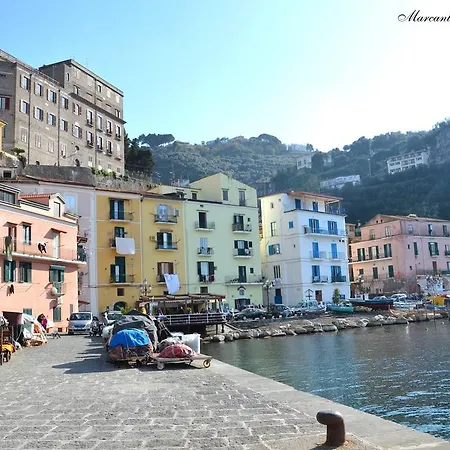 Coltur Διαμέρισμα