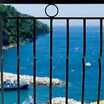 Coltur Sorrent